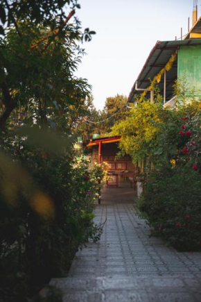 Jungal House